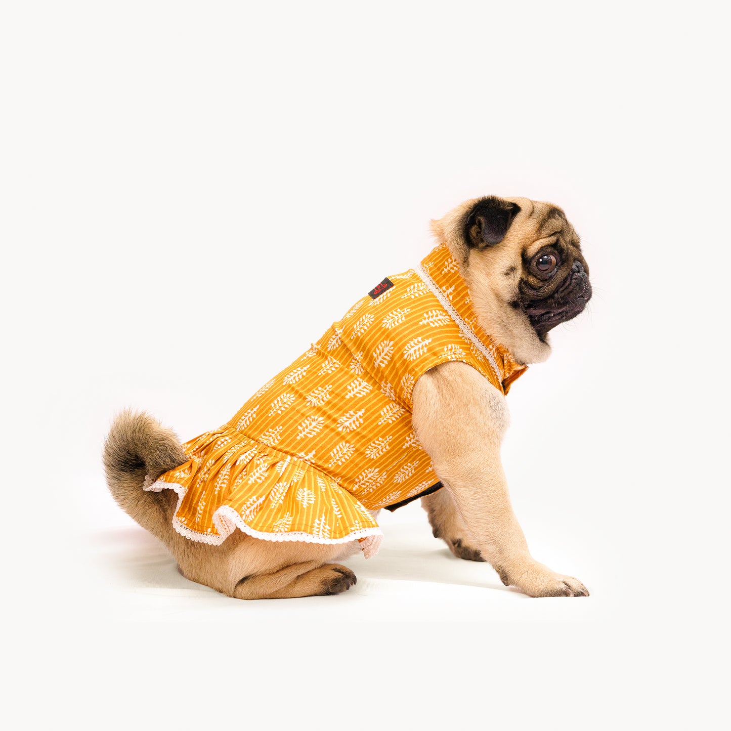 Pawgy Pets Heritage Handblock Dress Mustard for Dogs