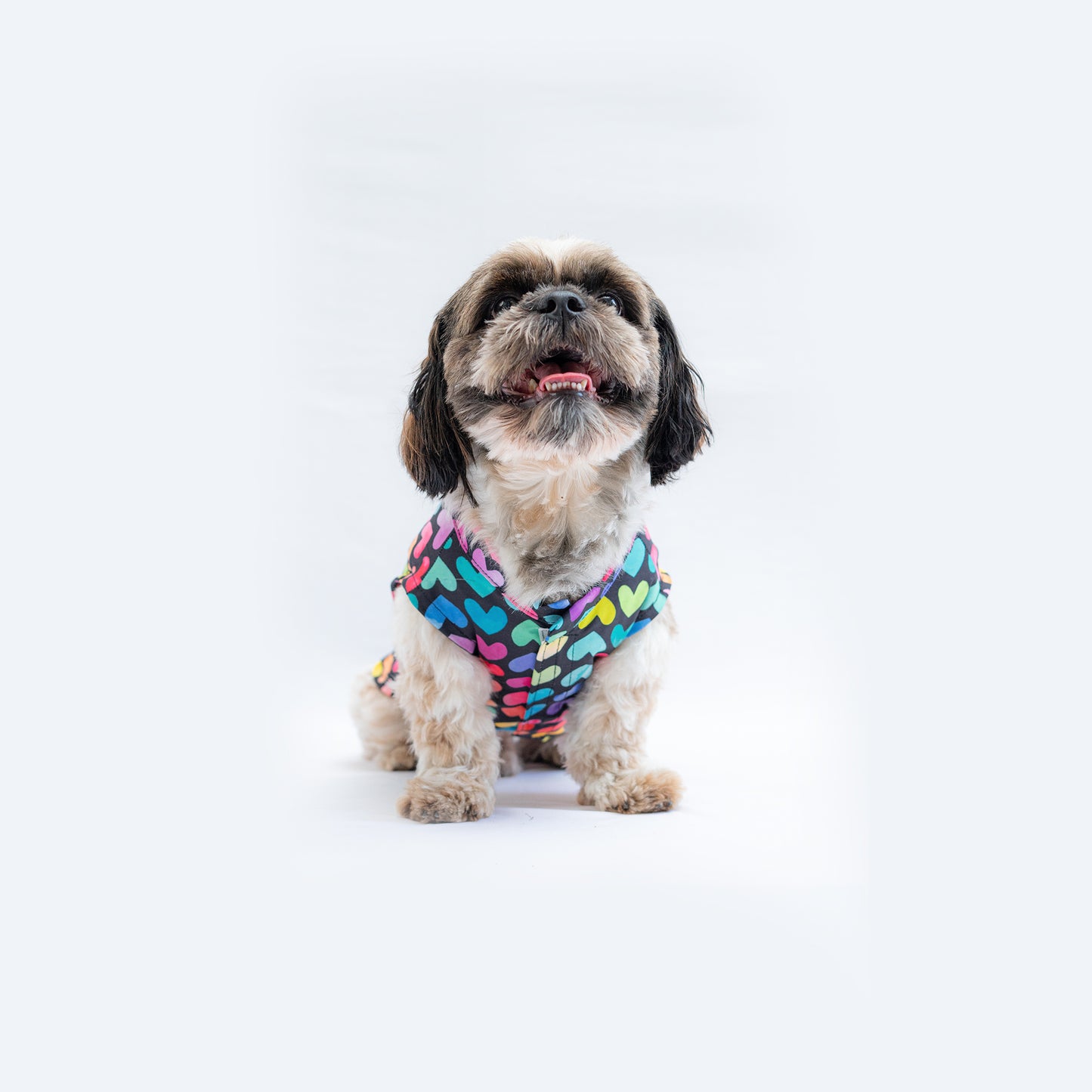 Multi Heart Sando | For Dogs | Pawgy Pets