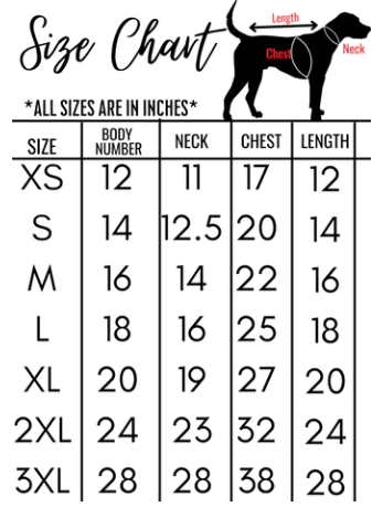 Summer T-shirt | Blue | For Dogs | Pawgy Pets