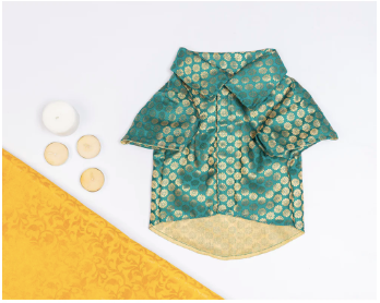 Teal Occasion Wear Shirt | For Dogs | Pawgy Pets
