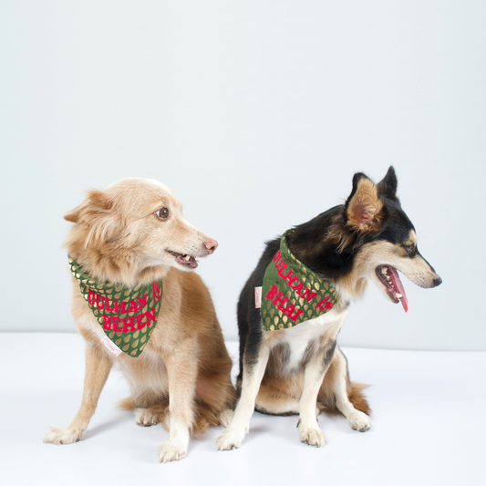 Pawgy Pets Personalised Occasion wear Bandana for Dogs & Cats