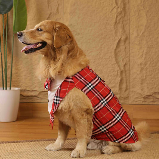 Pawgy Pets Red Check Bowtie Tuxedo