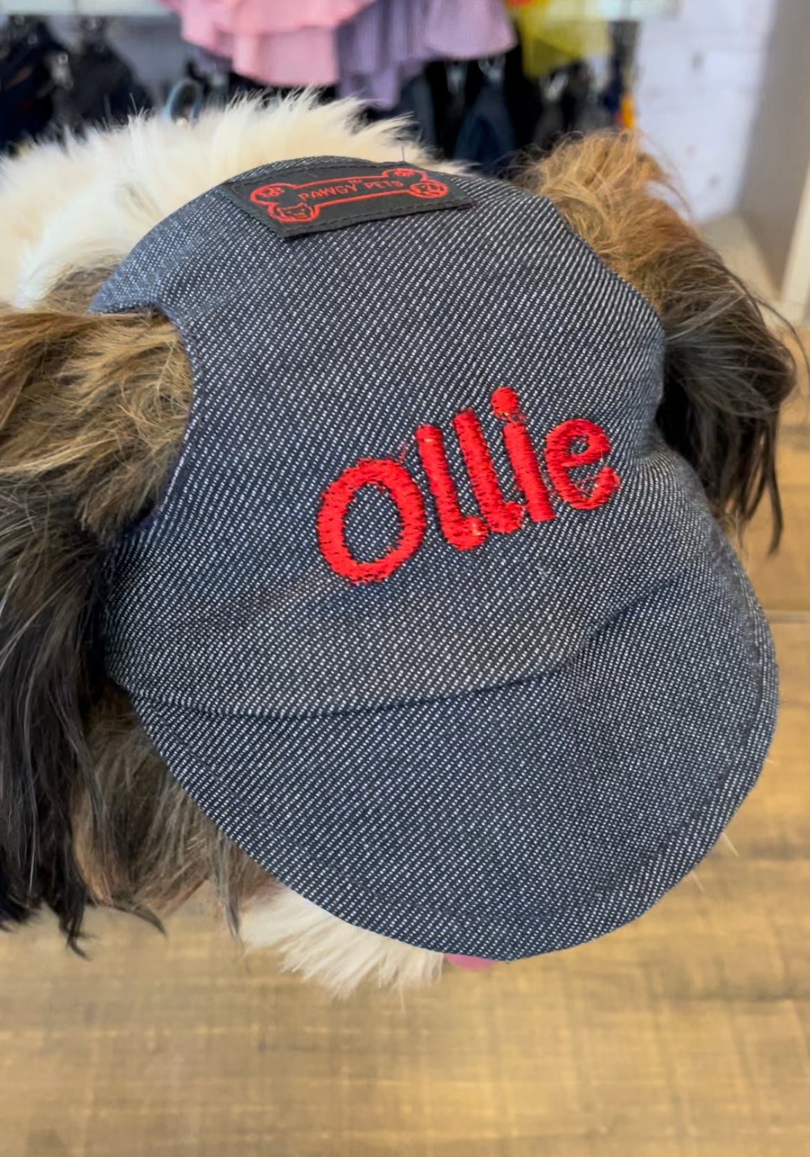 Pawgy Pets Personalised Dog Cap Denim for Dog & Cats