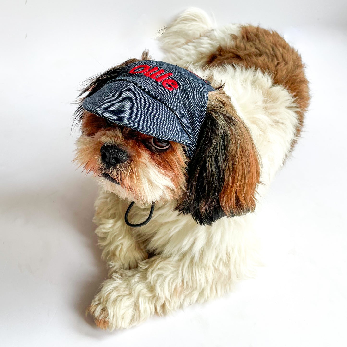 Pawgy Pets Personalised Dog Cap Denim for Dog & Cats