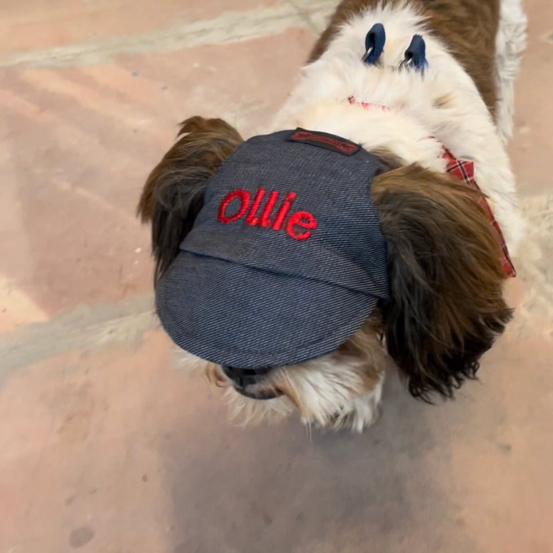 Pawgy Pets Personalised Dog Cap Denim for Dog & Cats