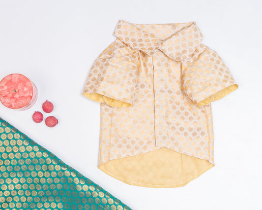 Pawgy Pets Occasion wear shirt White for Dogs