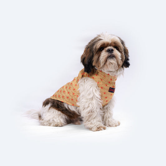 Pawgy Pets Sherwani Golden for Dogs