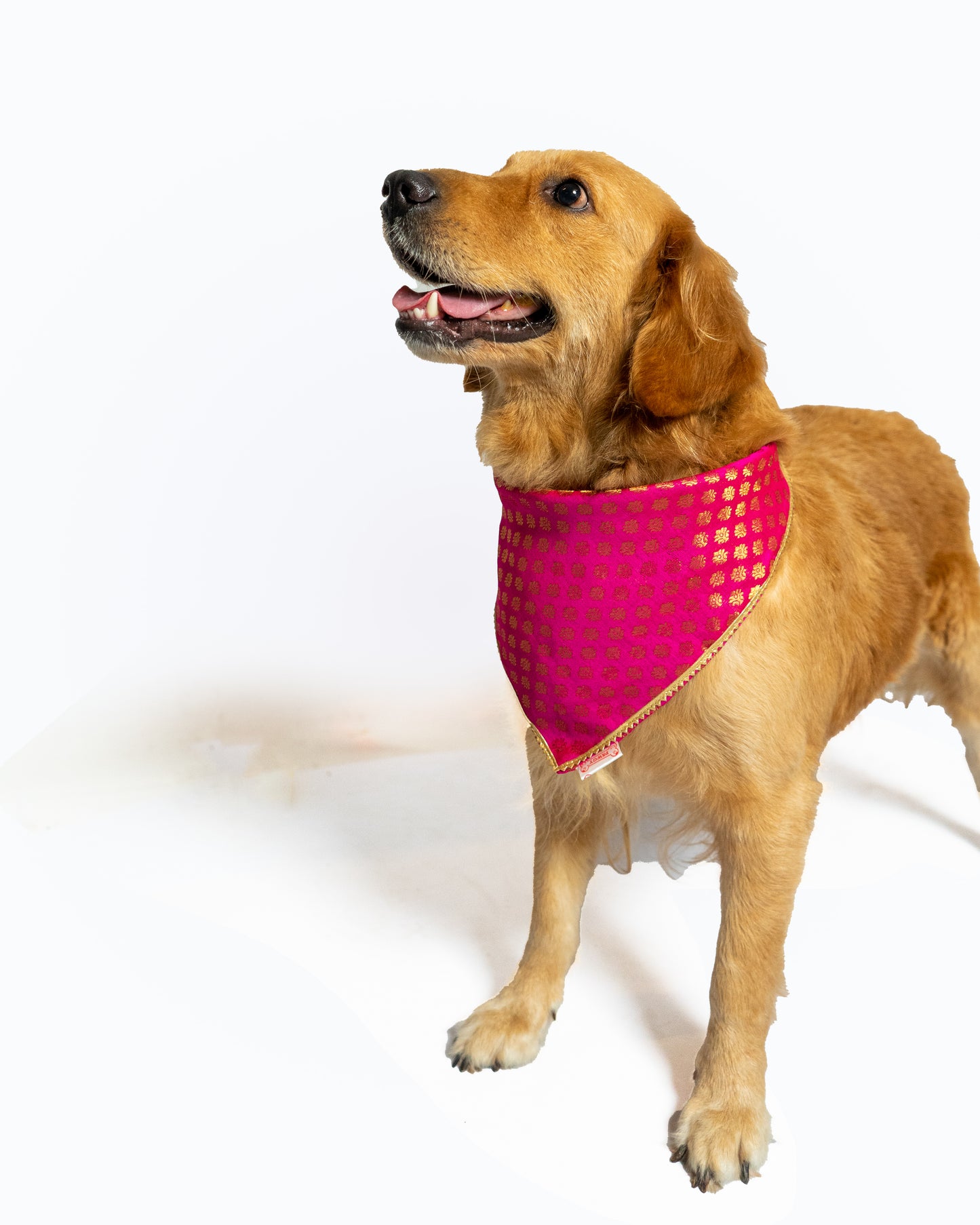 Pink Occasion Wear Bandana | For Dogs & Cats | Pawgy Pets