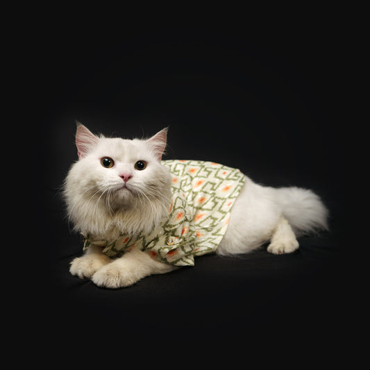 Pawgy Pets Heritage Summer Kurta (Off white with orange) for Dogs