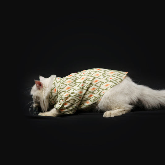 Pawgy Pets Heritage Summer Kurta (Off white with orange) for Dogs