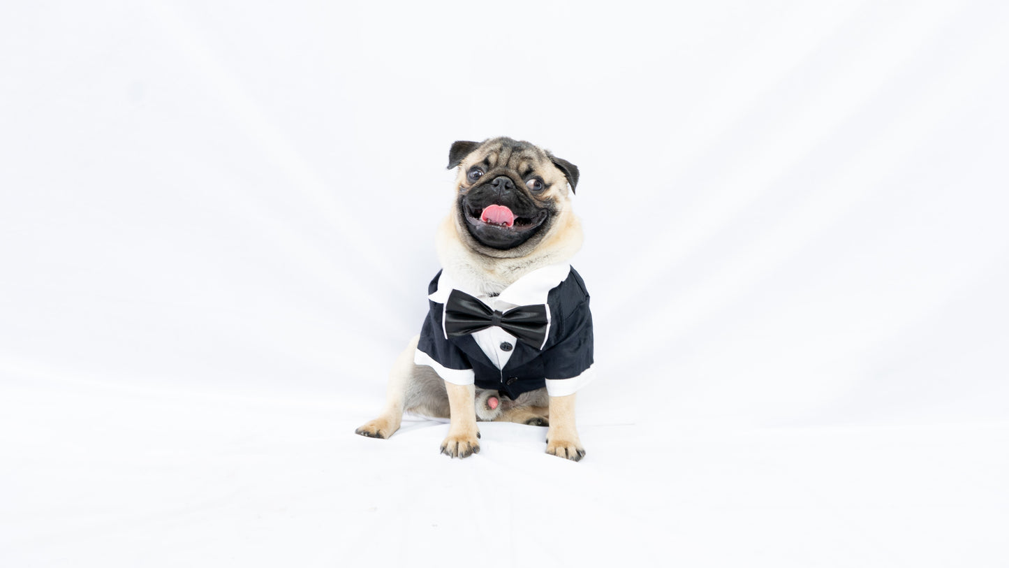 Black Tuxedo | For Dogs | Pawgy Pets
