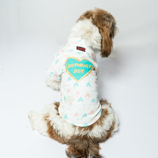 Pawgy Pets Customised Birthday Shirt for Dogs & Cats