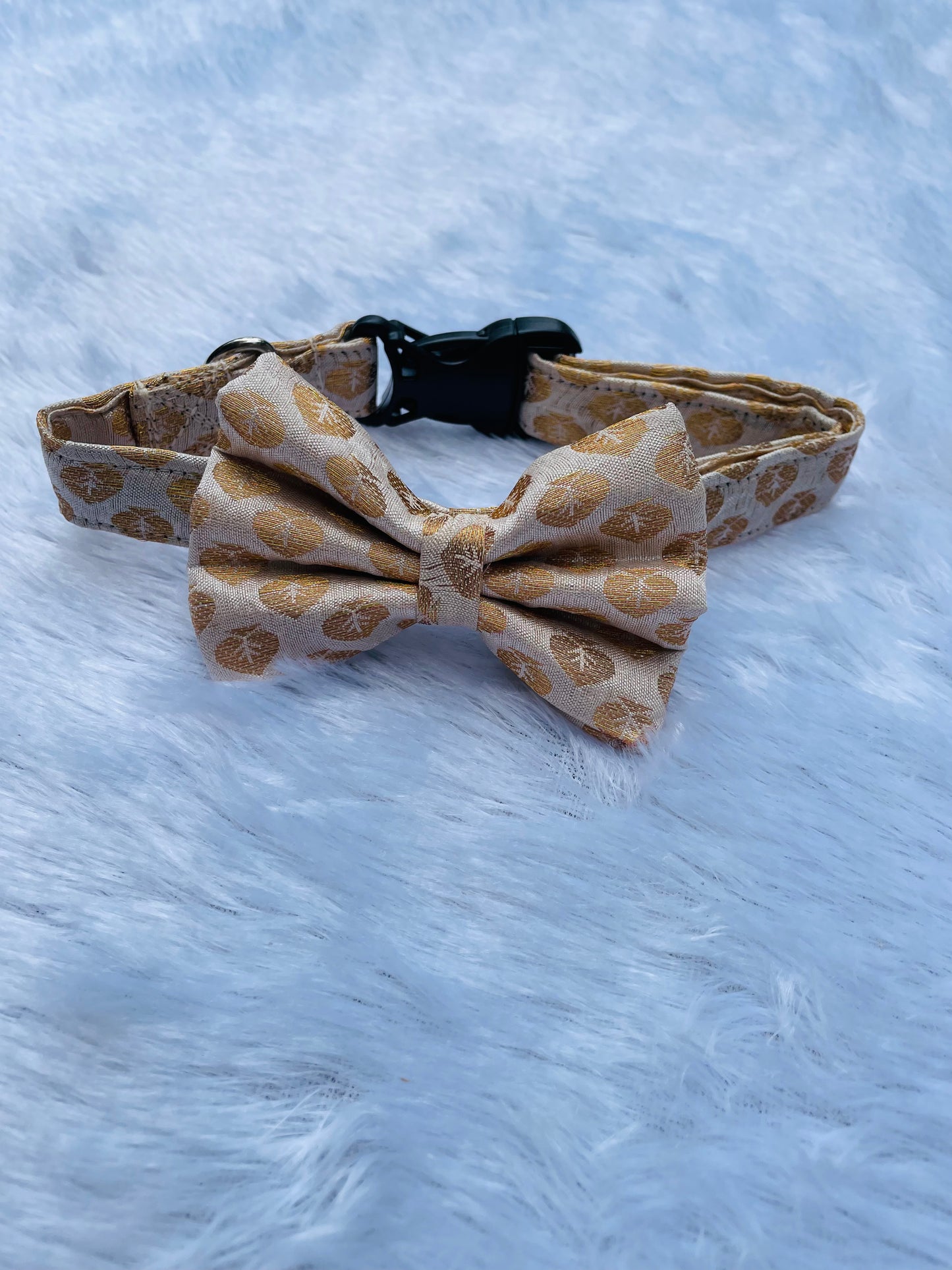 White Occasion Wear Bow Collar | For Dogs & Cats | Pawgy Pets