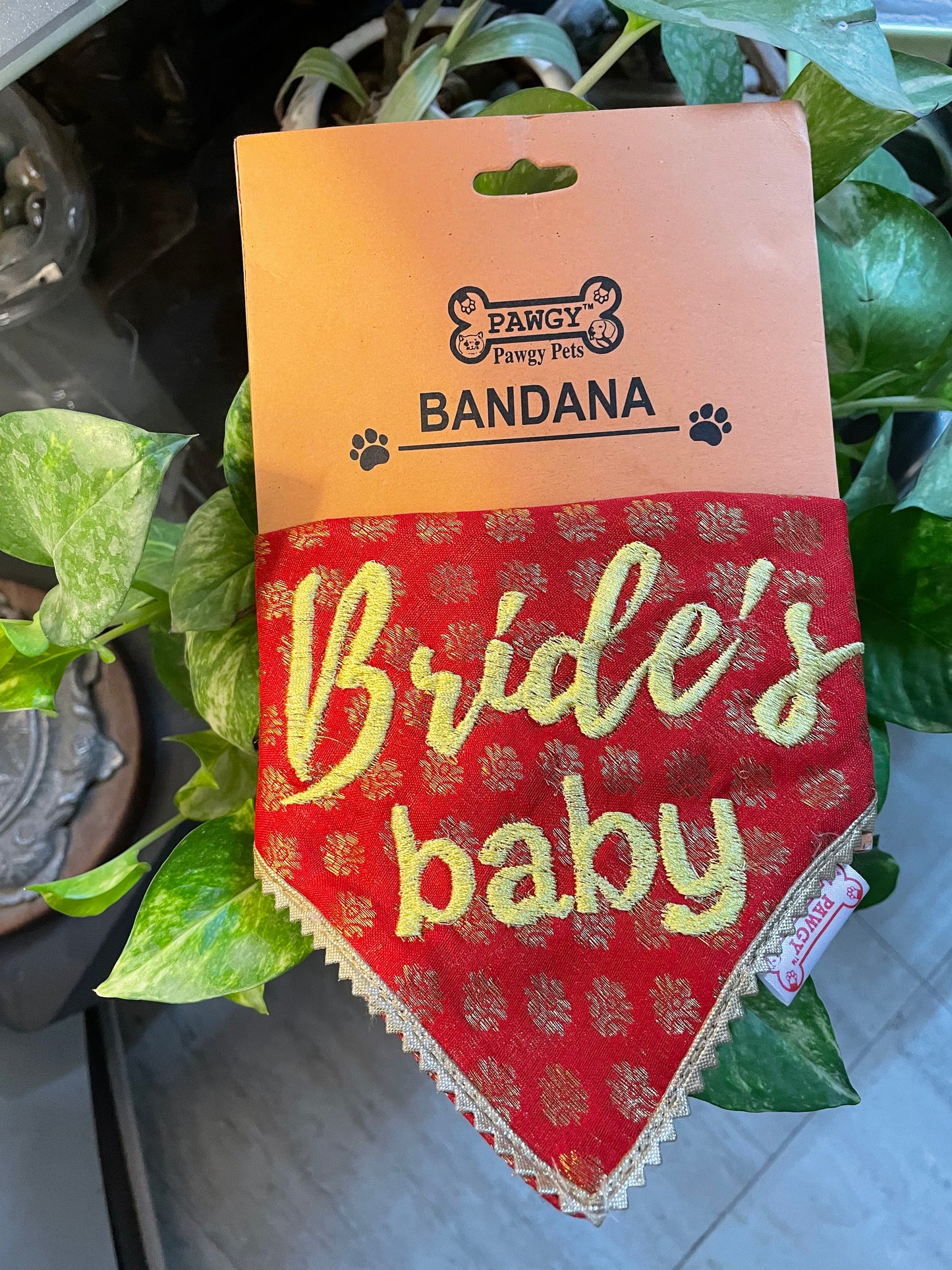 Pawgy Pets Personalised Occasion wear Bandana for Dogs & Cats