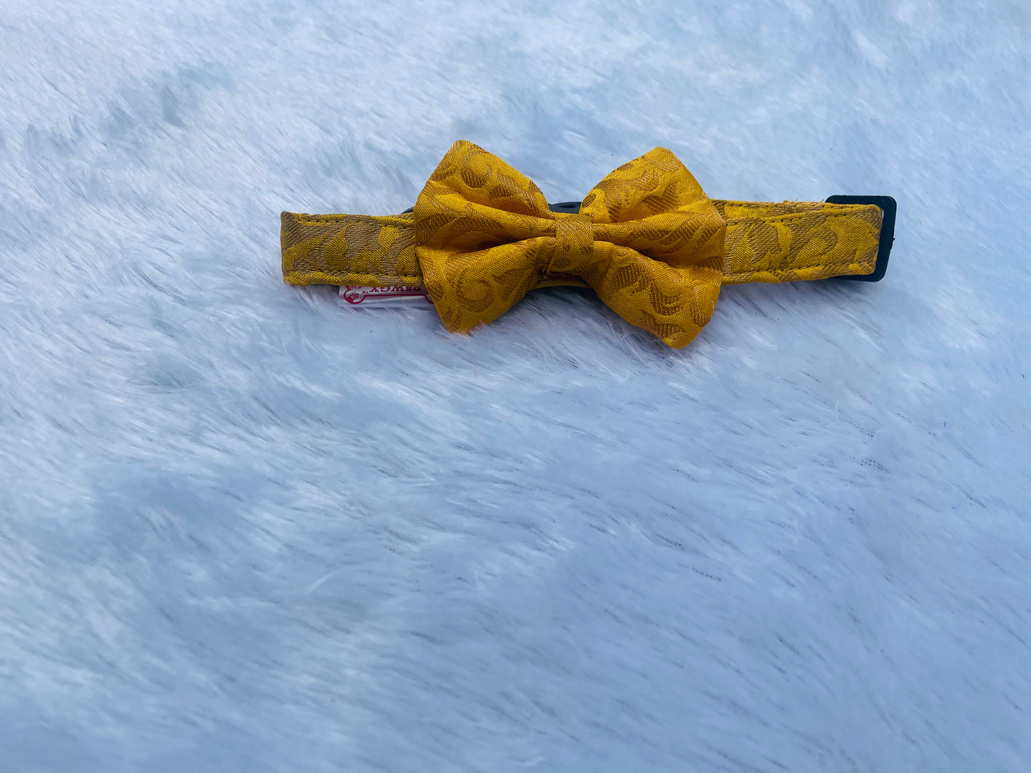 Yellow Occasion Wear Bow Collar | For Dogs & Cats | Pawgy Pets
