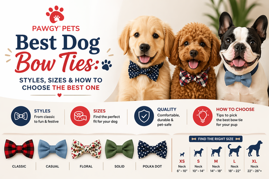 Best Dog Bow Ties: Styles, Sizes & How to Choose the Best One