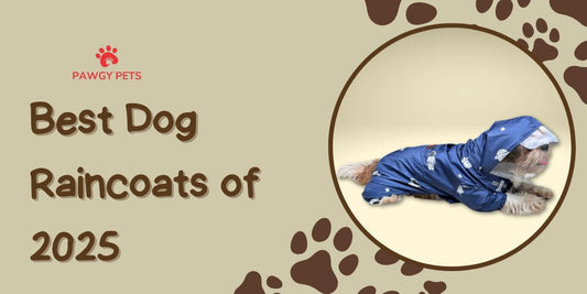 Best Dog Raincoats of 2025