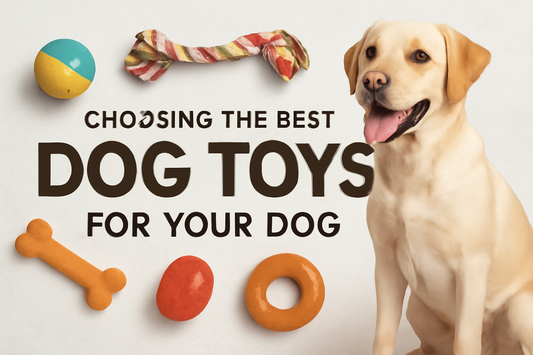 Choosing the Best Dog Toys for Your Puppy or Dog