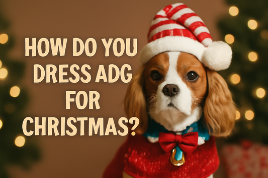 How Do You Dress A Dog For Christmas