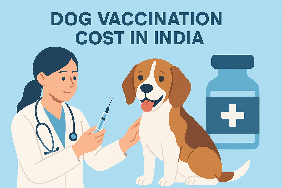 How Much Does Dog Vaccination Cost in India? A Pet Parent’s Guide
