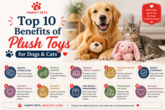 Top 10 Benefits of Plush Toys for Dogs & Cats
