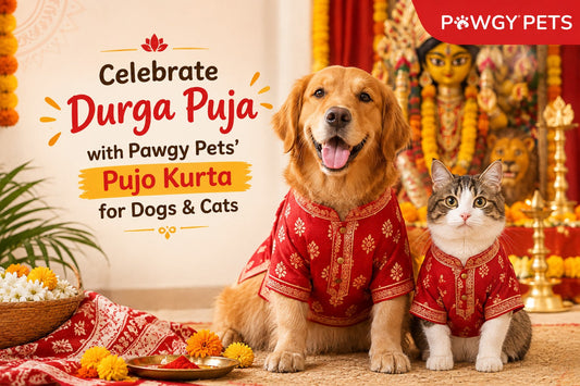 Celebrate Durga Puja with Pawgy Pets’ Pujo Kurta for Dogs & Cats