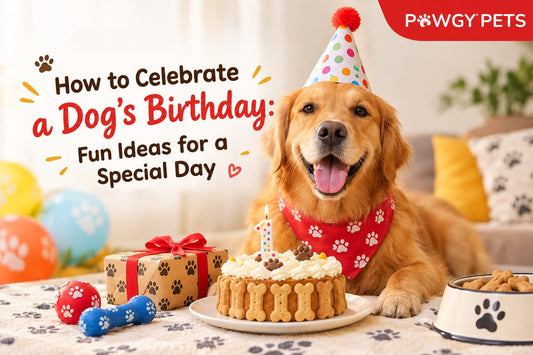 How to Celebrate a Dog's Birthday: Fun Ideas for a Special Day