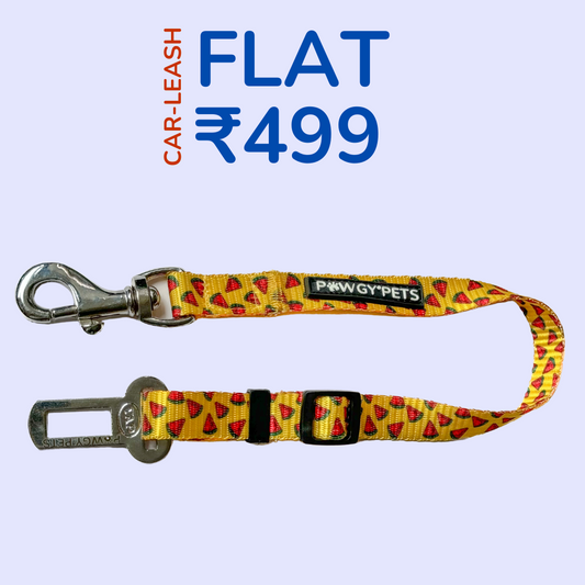 CAR LEASH AT FLAT 499