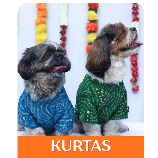 Indian Collection: Kurtas