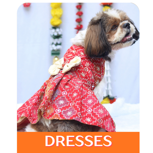 Indian Collection: Dresses