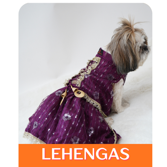 Indian Collection: Lehenga