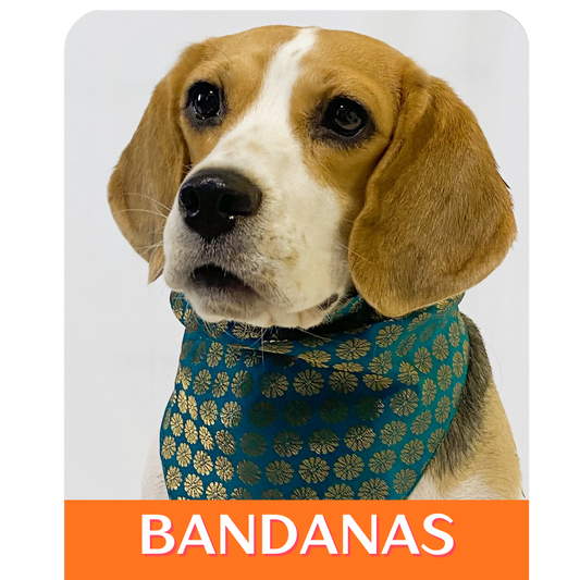 Indian Collection: Bandana