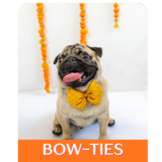 Indian collection: Bowtie