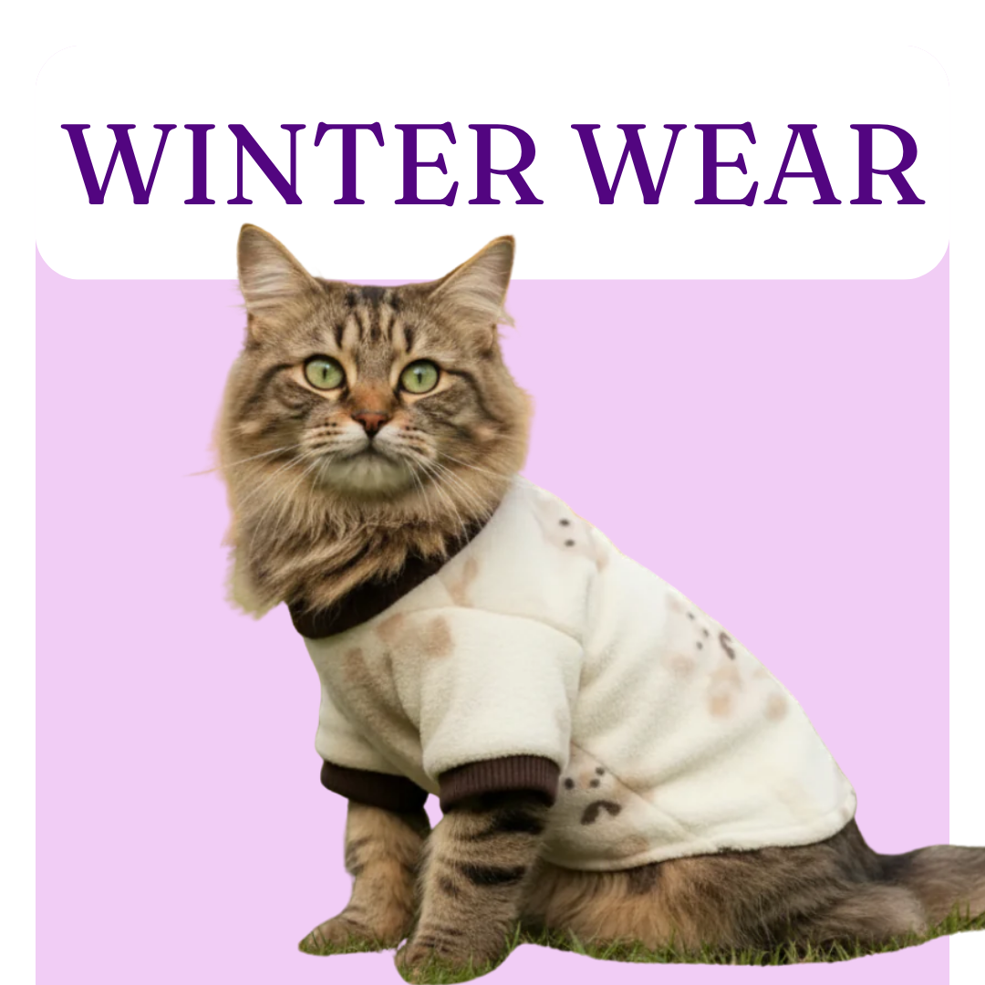 Cat Winter Wear