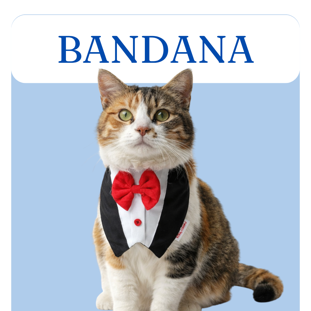 Cat Bandana