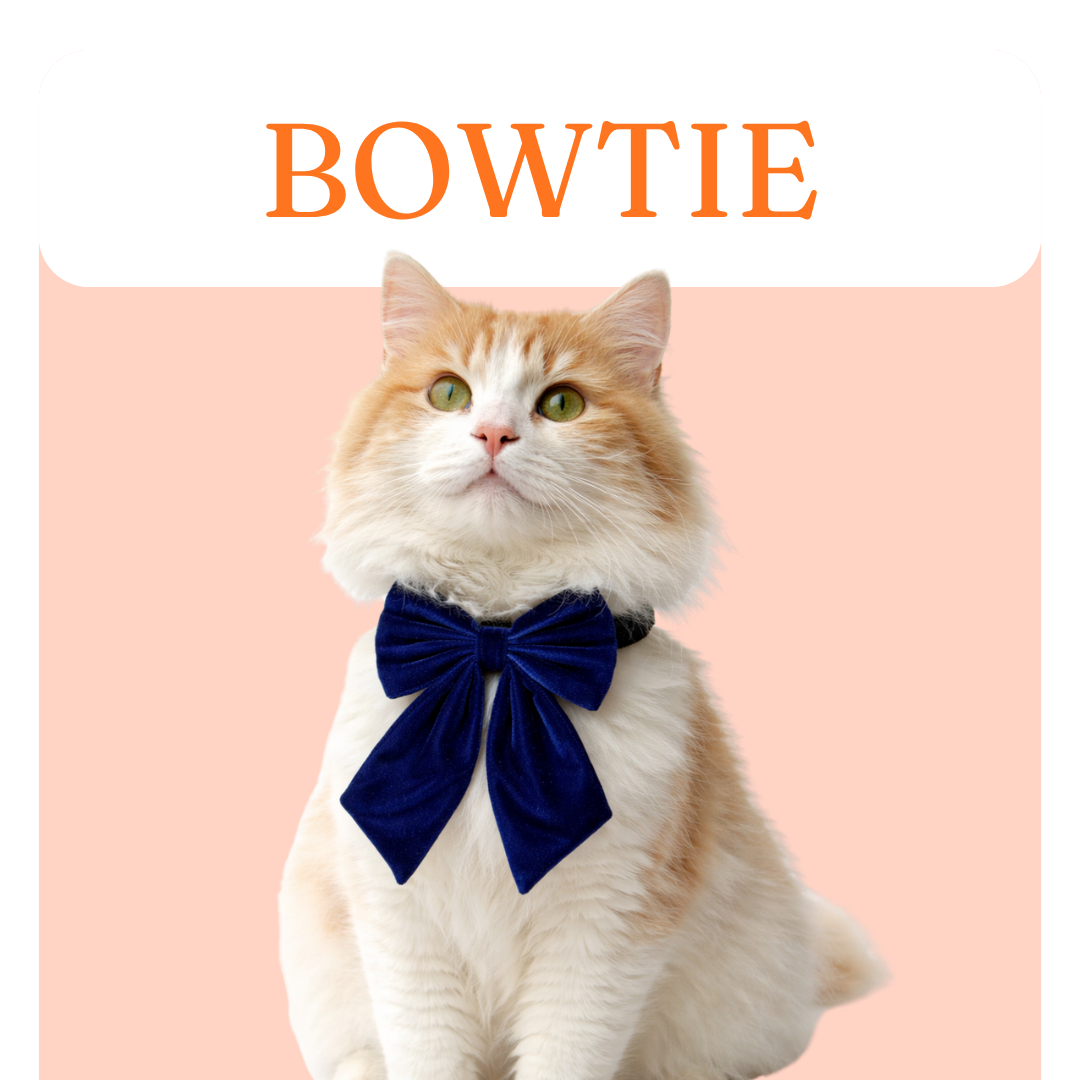Cat Bowtie