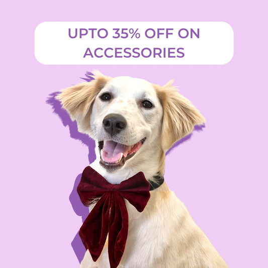 Pawgypets Accessories