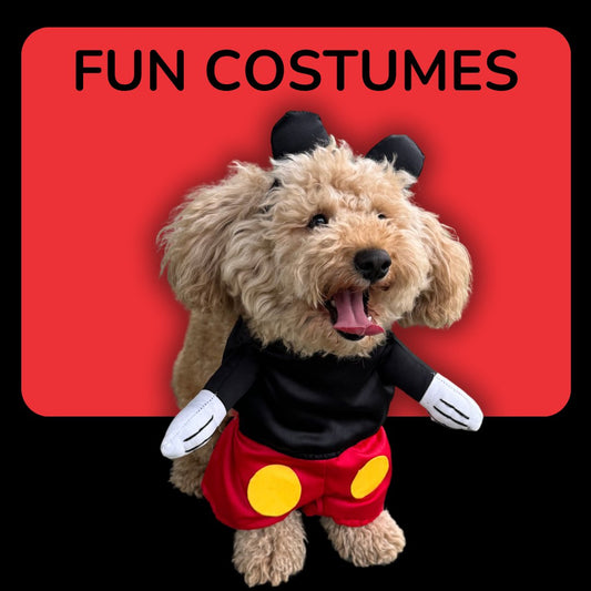 Pet Costume