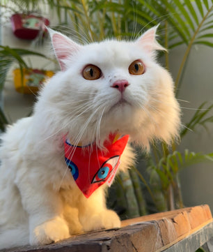 Pawgy Pets Casual Bandana: Nazar Red for Cats and Dogs