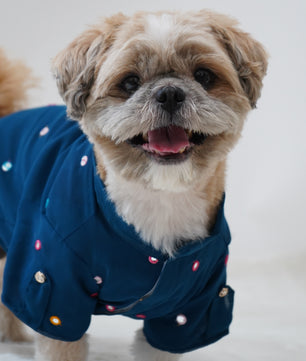 Pawgy Pets Festive Shirt Peacock blue for Dogs