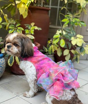 Pawgy Pets Frilly Dress Pink for Dogs