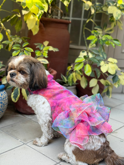 Pawgy Pets Frilly Dress Pink for Dogs