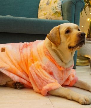 Pawgy Pets Fur sweater: Shades of Orange or Dogs & Cats