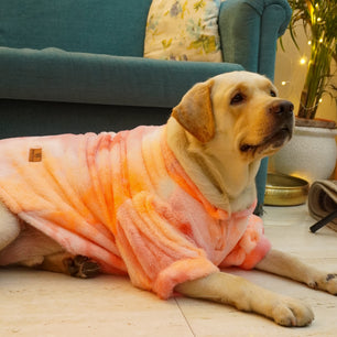 Pawgy Pets Fur sweater: Shades of Orange or Dogs & Cats