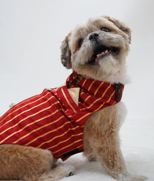 Pawgy Pets Desi Tuxedo: Red for Dogs & Cats