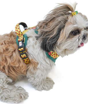 Pawgy Pets Padded Harness Watermelon