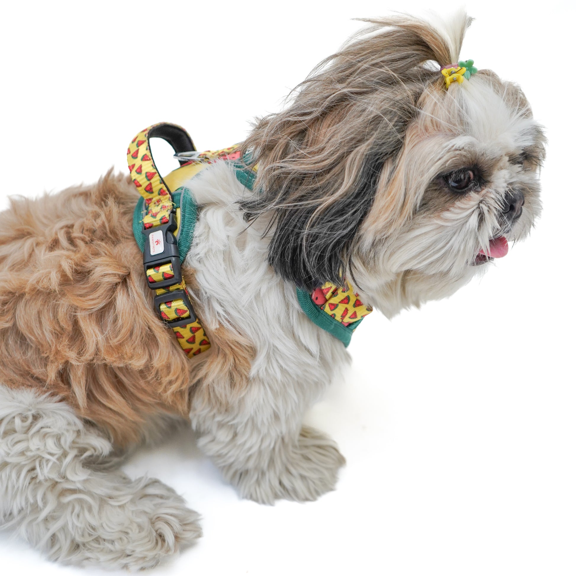Pawgy Pets Padded Harness Watermelon