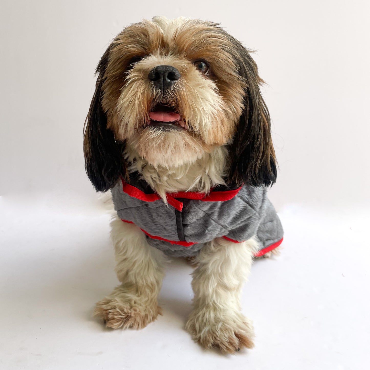 Pawgy Pets Reversible Quilted Jacket (Grey & Black) for Dogs & Cats