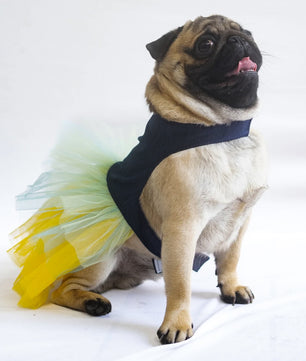 Pawgy Pets Denim Frill Dress for Dogs