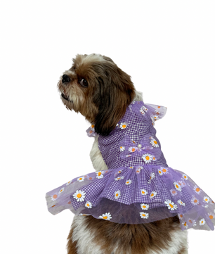 Pawgy Pets Frilly Check Purple for Dogs & Cats